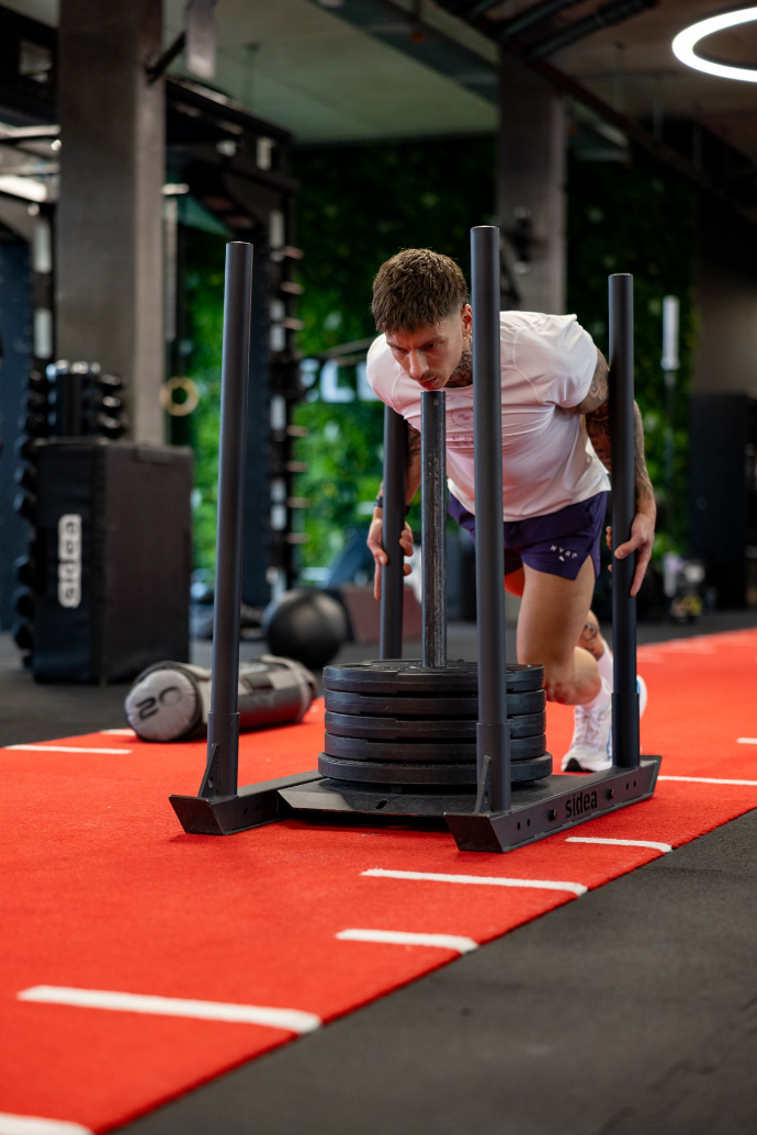 Coach Ludovico au sled